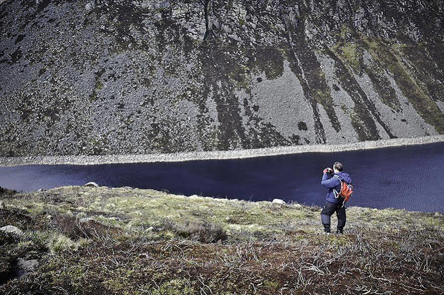 The Mourne Lodge "Cnocnafeola" Newry Bagian luar foto
